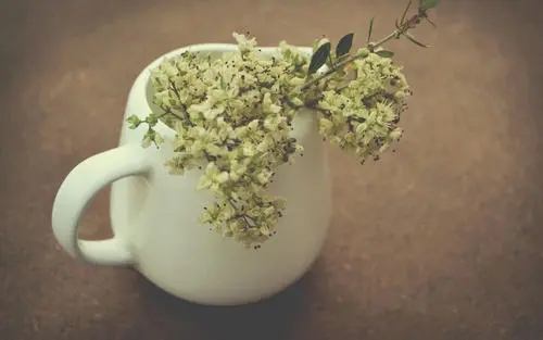 联通手机号携号转网到移动怎么办理？